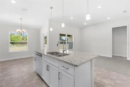 New construction Single-Family house 12676 Nw 162Nd Dr, Alachua, FL 32615 null- photo 4 4