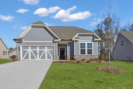 New construction Single-Family house 21 Mayhaw Pt, Sharpsburg, GA 30277 plan Newport - image