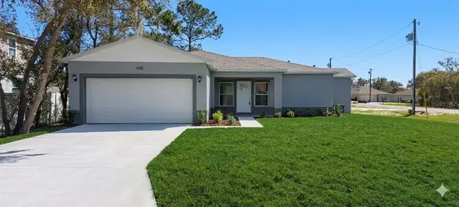 New construction Single-Family house 1648 Redfin Dr, Kissimmee, FL 34759 - image