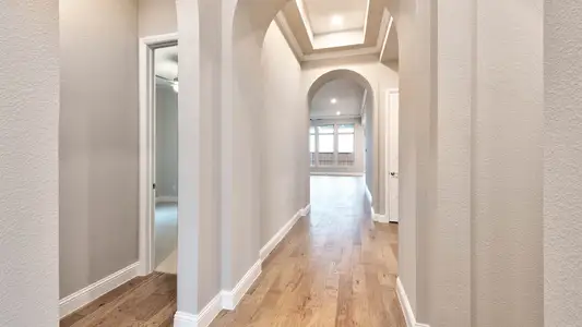 New construction Single-Family house 2901 Harkaway Ct, Celina, TX 75009 plan 523A - image 5