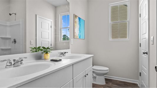 Wood Stork Landing: American Dream Series 6