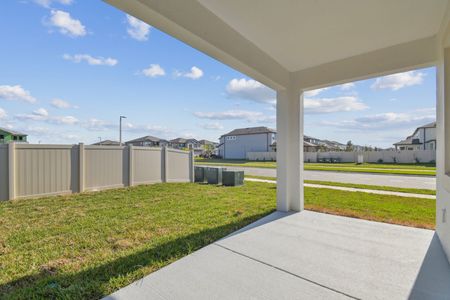 New construction Single-Family house 3064 Fall Harvest Dr, Zephyrhills, FL 33540 Picasso- photo 217 217