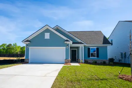 New construction Single-Family house 173 Monroe Preserve Ln, Chapin, SC 29036 plan Compton - image