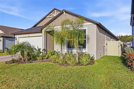 New construction Single-Family house 18351 Serene Lake Lp, Lutz, FL 33548 - image