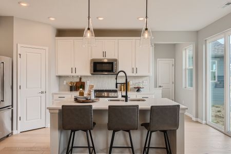 New construction Single-Family house 13788 Daffodil Wy, Parker, CO 80134 plan Denali - image 9