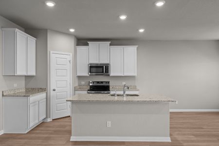 New construction Single-Family house 16243 Sage Cmn, Elmendorf, TX 78112 plan Magellan - image 7