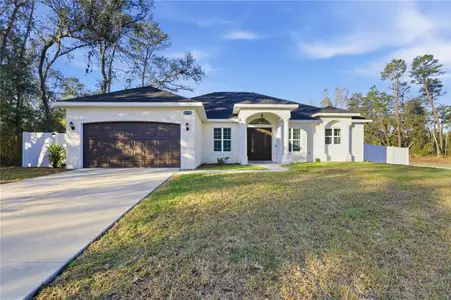 New construction Single-Family house 4590 Sw 172Nd Street Rd, Ocala, FL 34473 - image