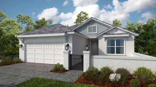 New construction Single-Family house Winter Garden, FL 34787 plan Marino - image