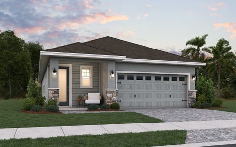 New construction Single-Family house St. Cloud, FL 34772 plan Aspen - 19800 - image