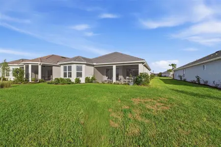 New construction Single-Family house 4533 Isonzo Wy, Wesley Chapel, FL 33543 - image 4