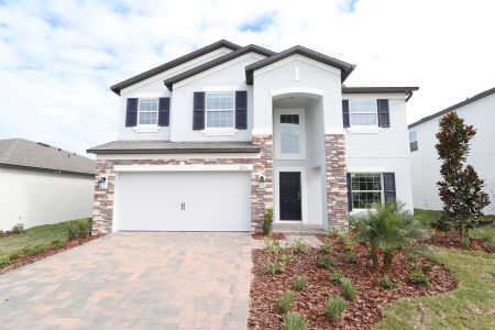 New construction Single-Family house 12176 Hilltop Farms Dr, Dade City, FL 33525 Malibu- photo 136 136