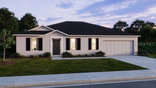 New construction Single-Family house 2566 Sw 154Th Ln, Ocala, FL 34473 - image