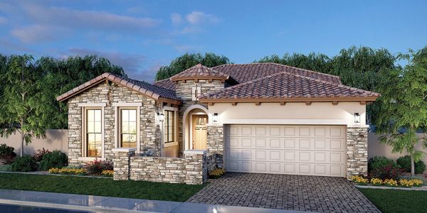 Reserve at Red Rock: Artisan Collection by Blandford Homes in Mesa - photo 10 10