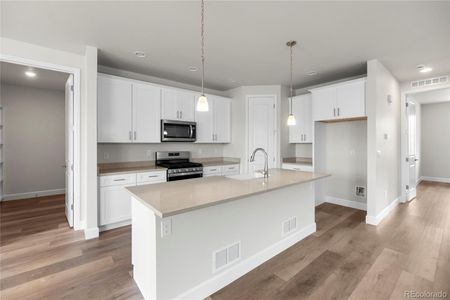 New construction Single-Family house 2165 Peralta Lp, Castle Rock, CO 80104 null- photo 44 44