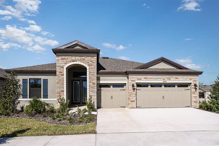 New construction Single-Family house 13082 Wellspring Drive, Lithia, FL 33547 Bayshore I- photo 0