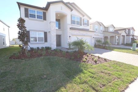 New construction Single-Family house 38326 Tobiano Loop, Dade City, FL 33525 Casanova- photo 125 125