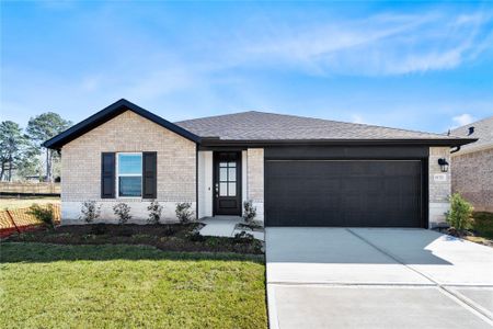 New construction Single-Family house 19753 Flag View Dr, Montgomery, TX 77316 - image
