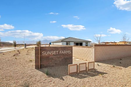 New construction Single-Family house 4513 S 95Th Dr, Tolleson, AZ 85353 Lilac- photo 4 4