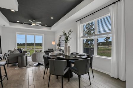 Seaire by Dream Finders Homes in Parrish - photo 41 41