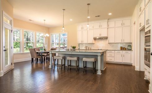 New construction Single-Family house 1041 Sage Pine Cir, Clover, SC 29710 plan Augusta - image 14