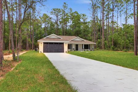 New construction Single-Family house 1683 W Pearson St, Hernando, FL 34442 - image