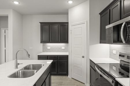 New construction Single-Family house 3315 Dahlia Dr, Melissa, TX 75454 plan Birch - image 5