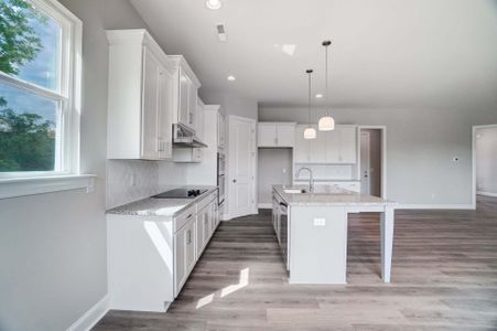 New construction Single-Family house 504 Fern Hill Rd, Mooresville, NC 28117 plan Davidson - image 8