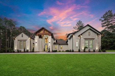 New construction Single-Family house 437 Sundog Rd, Huntsville, TX 77340 - image