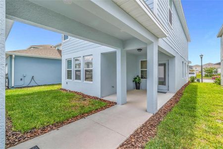 New construction Single-Family house 4087 Roaming Brook Dr, Apopka, FL 32712 - image