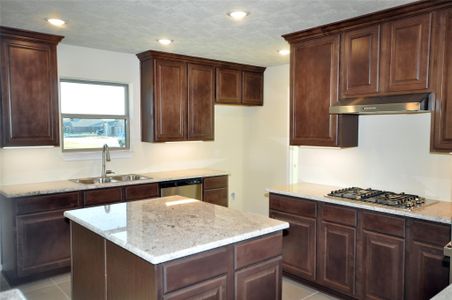 New construction Single-Family house 3502 Bahia Rd, League City, TX 77539 - image 9