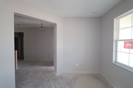 New construction Single-Family house 31236 Denham Ridge Ln, Wesley Chapel, FL 33545 Santa Monica- photo 100 100