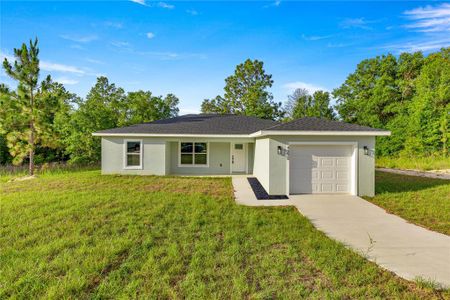 New construction Single-Family house 3300 Se 144Th Ct, Ocala, FL 34481 - image