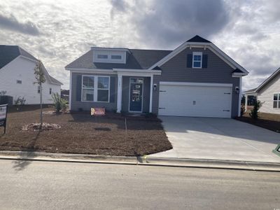 New construction Single-Family house 141 River Birch Dr, Unit 160 Bailey11, Loris, SC 29569 - image