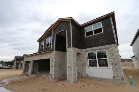 New construction Single-Family house 2350 Clary Sage Dr, Spring Hill, FL 34609 Sonoma II- photo 57 57