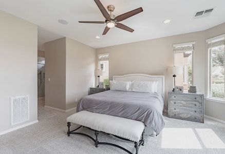 New construction Single-Family house 623 E Peach Tree St, Queen Creek, AZ 85140 plan Nice - image 17