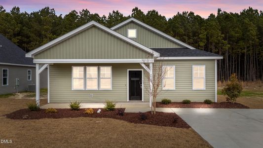 New construction Single-Family house 4523 Sweet Williams Ln, Wilson, NC 27896 - image
