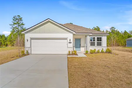 New construction Single-Family house 226 Park View Ln, Kingsland, GA 31548 plan Champlain II - image