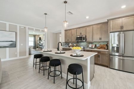 New construction Single-Family house 8957 Evergreen Ave, Brooksville, FL 34613 plan Sapphire - image 17