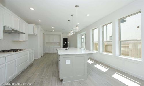 New construction Single-Family house 8117 Purple Aster Pass, Lago Vista, TX 78645 Everett Plan- photo 7 7