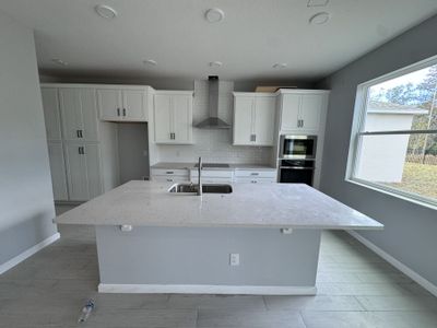 New construction Single-Family house 842 Creeping Fig St, Apopka, FL 32703 null- photo 17 17