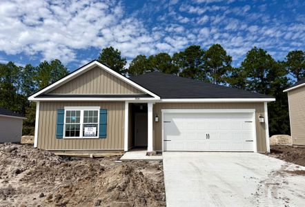 New construction Single-Family house 356 Juniper Drive-, Unit 30, Hinesville, GA 31313 plan The Powell - image
