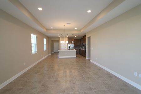 New construction Single-Family house 38357 Palomino Dr, Dade City, FL 33525 Picasso Bonus- photo 96 96