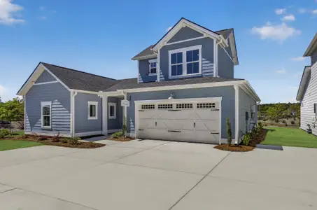 New construction Single-Family house 228 Captain Kidd Ct, Unit B, Summerville, SC 29486 - image