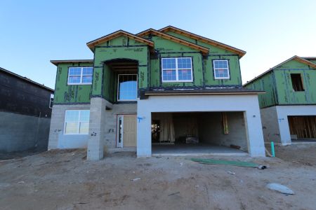 New construction Single-Family house 38338 Tobiano Loop, Dade City, FL 33525 Mira Lago- photo 40 40