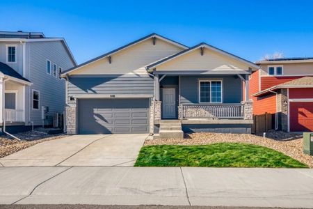 New construction Single-Family house 648 Noola St, Windsor, CO 80550 plan Silverthorne - image