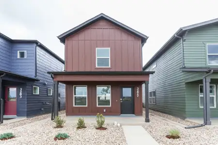 New construction Single-Family house 3277 Comet St, Fort Collins, CO 80524 plan Clover - image