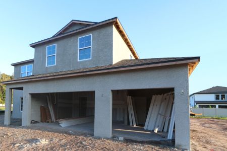 New construction Single-Family house 20288 Oriana Loop, Land O' Lakes, FL 34638 Coronado II- photo 54 54