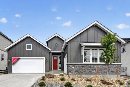 New construction Single-Family house 4051 Descent St, Castle Rock, CO 80108 plan Columbine - image
