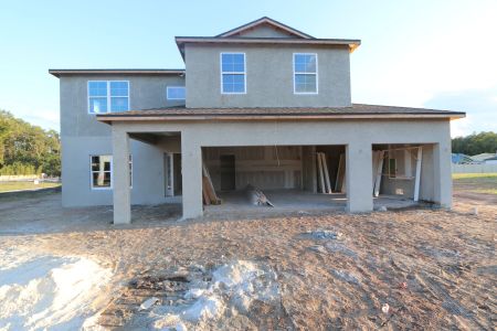 New construction Single-Family house 20288 Oriana Loop, Land O' Lakes, FL 34638 Coronado II- photo 53 53