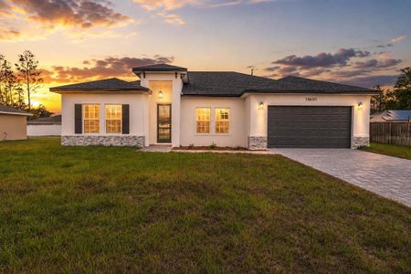 New construction Single-Family house 15630 Sw 49Th Avenue Rd, Ocala, FL 34473 - image
